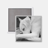 Zwart-wit foto van Schattigee hond rusten met papa Magneet (Voorkant / Achterkant)