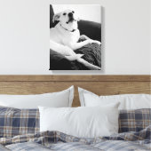 Zwart-wit foto van Talking Dog Print (Insitu (Slaapkamer))
