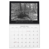 Zwart-wit foto's Dieren Landschapsvogel Kalender (Jan 2026)