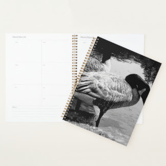 Zwart-wit Ganzen Quiet Moment aan het Meer Planner