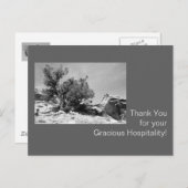 Zwart-wit gastvrijheid bedankt briefkaart (Voorkant / Achterkant)