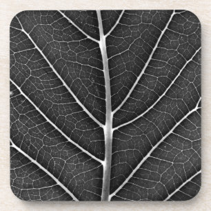 Zwart-Wit Glanzend Blad Close-Up Bier Onderzetter