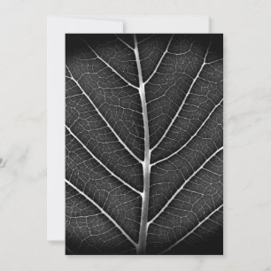 Zwart-wit gloeiend blad close-up feestdagenkaart
