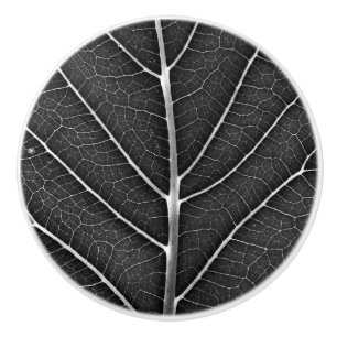 Zwart-wit gloeiend blad close-up keramische knop