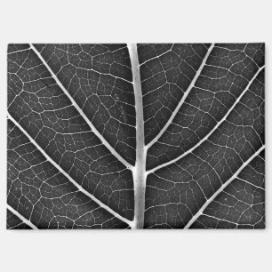 Zwart-wit gloeiend blad close-up magneet