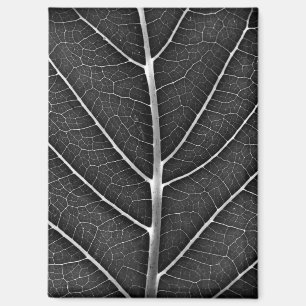 Zwart-wit gloeiend blad close-up magneet