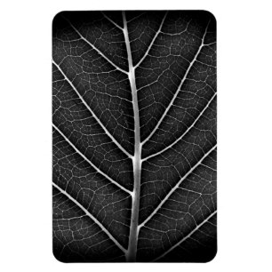 Zwart-wit gloeiend blad close-up magneet