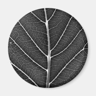 Zwart-wit gloeiend blad close-up magneet
