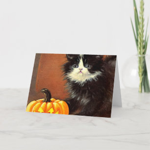 zwart-wit Halloween Kitten