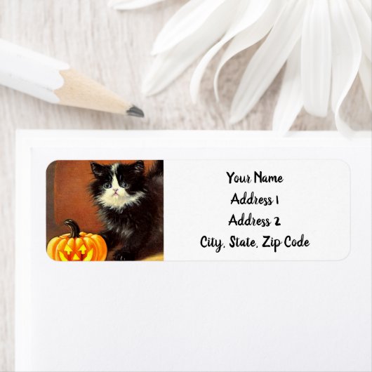zwart-wit Halloween Kitten Etiket (Insitu)