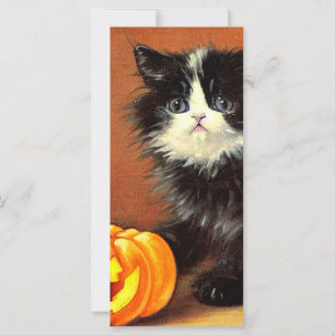  zwart-wit Halloween Kitten Kaart