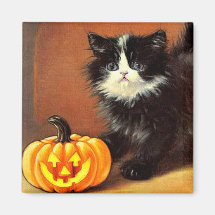 zwart-wit Halloween Kitten Magneet