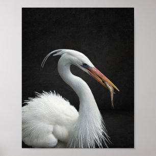 Zwart-wit Heron Tropische afdrukbare kunst Poster