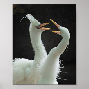 Zwart-wit Heron Tropische afdrukbare kunst Poster