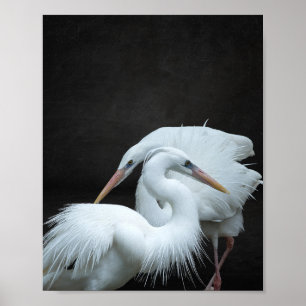 Zwart-wit Heron Tropische afdrukbare kunst Poster