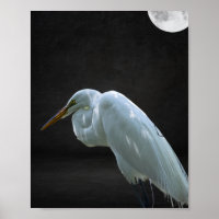 Zwart-wit Heron Tropische afdrukbare kunst