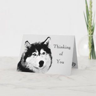 zwart wit husky Wenskaart Kaart