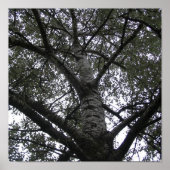 Zwart-wit in natuur poster (Voorkant)