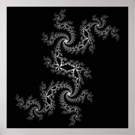 Zwart-wit Julia 300488 Poster (Voorkant)