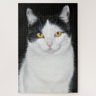 Zwart-wit kat portret legpuzzel