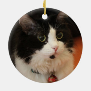 Zwart-wit katje met ronde ogen keramisch ornament