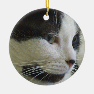 Zwart-wit katje op keramische siervoorwerpen keramisch ornament