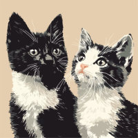 Zwart-wit katten iPhone / iPad hoesje