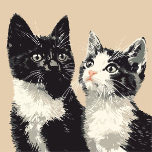 Zwart-wit katten iPhone / iPad hoesje