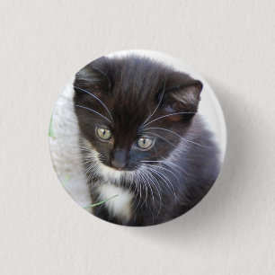 Zwart-wit Kitten Foto Ronde Button 3,2 Cm