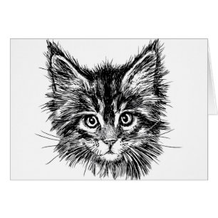 Zwart-wit kitten gezicht blanco binnenkant