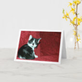 Zwart-wit kitten op rode bank kaart (Gele Bloem)
