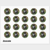 Zwart-wit kitten Stickers (Vel)