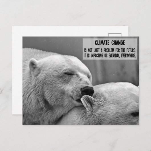 Zwart-wit Klimaatverandering met polaire beren Briefkaart (Voorkant / Achterkant)