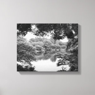 Zwart-wit, koel, unieke natuur en meer canvas afdruk