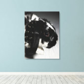 Zwart-wit konijn met onderzeese kraag canvas afdruk (Insitu (Houten vloer))