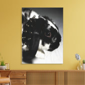 Zwart-wit konijn met onderzeese kraag canvas afdruk (Insitu (Woonkamer))