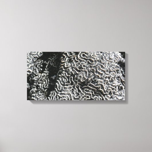 Zwart-wit koraal I Abstracte Natuur Foto Canvas Afdruk (Voorkant)