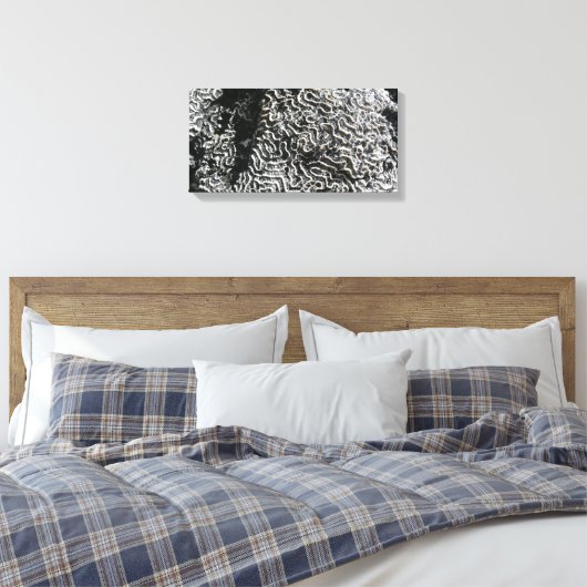 Zwart-wit koraal I Abstracte Natuur Foto Canvas Afdruk (Insitu (Slaapkamer))