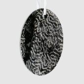 Zwart-wit koraal I Abstracte Natuur Foto Ornament (voorkant)