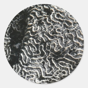 Zwart-wit koraal I Abstracte natuurfoto Ronde Sticker