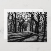 Zwart-wit landschap in Central Park Briefkaart (Voorkant / Achterkant)