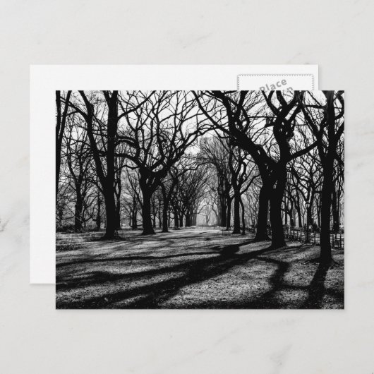 Zwart-wit landschap in Central Park Briefkaart (Voorkant / Achterkant)
