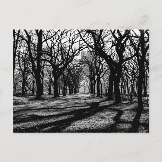 Zwart-wit landschap in Central Park Briefkaart (Voorkant)