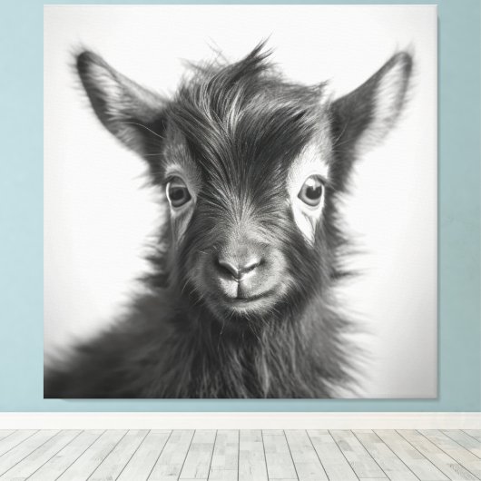 Zwart-wit Leuke Baby geitenfoto Canvas Afdruk (Insitu (Houten vloer))