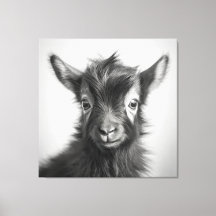Zwart-wit Leuke Baby geitenfoto