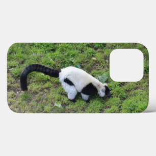 Zwart-wit met rode lemur #1 iPhone 13 Pro Hoesje
