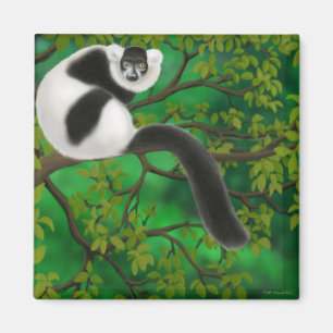 Zwart-wit met rode lemur Magnet Magneet