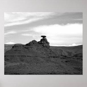 Zwart & Wit Mexicaans Pet Rock Formation 16x20 Poster
