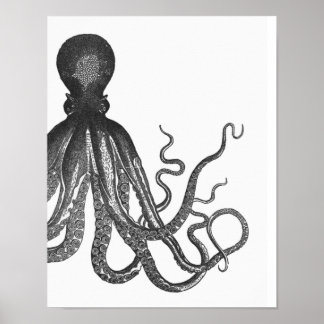 Zwart-wit modern Octopus Poster