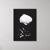 Zwart-wit mooi Roos close-up Canvas Afdruk (Voorkant)